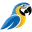 Dancing Macaw Logo